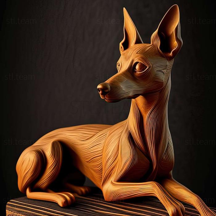 3D model English Toy Terrier dog (STL)